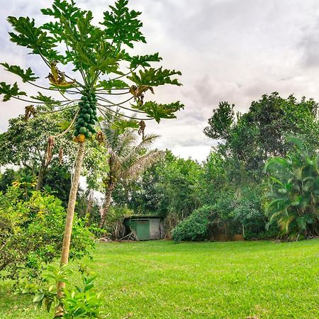 Charming Historic Hilo House Minutes To Beach! 外观 照片
