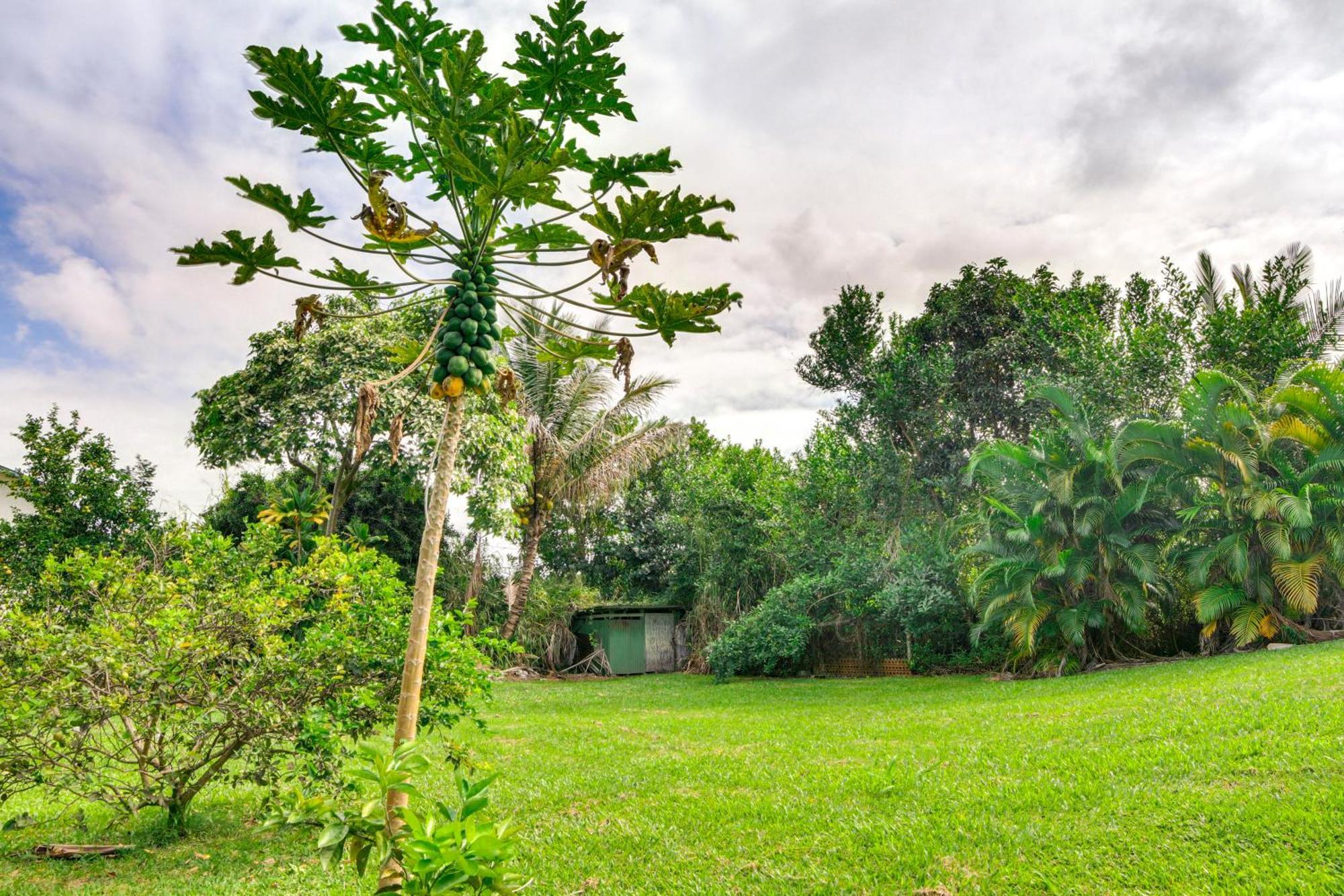 Charming Historic Hilo House Minutes To Beach! 外观 照片